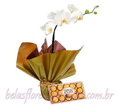 Orquídea R9