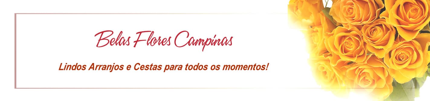 Belas Flores Campinas