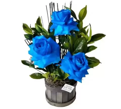 Arranjo com 3 Rosas Azuis