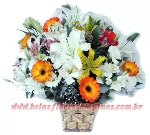 Cesta de Flores CF5