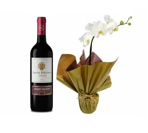 Orquídea 12