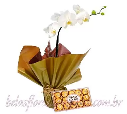 Orquídea R9