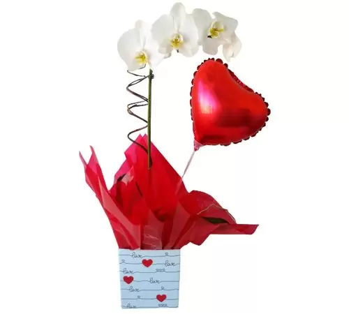 Orquídea Romântica