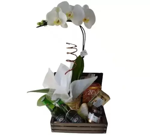 Orquídea com Petiscos