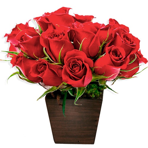 cachepot com 12 rosas vermelhas