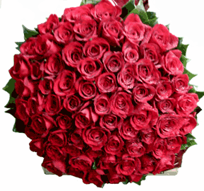 Maravilhoso buquê com 100 rosas especiais